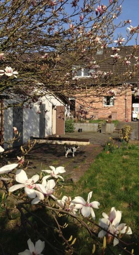 Mit Garten In Koeln Apartamento *