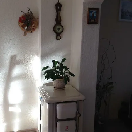 Ferienwohnung Mit Garten In Koeln Colonia Exterior foto